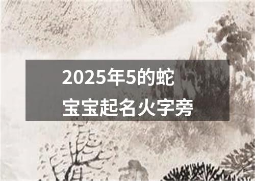 2025年5的蛇宝宝起名火字旁