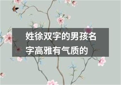 姓徐双字的男孩名字高雅有气质的