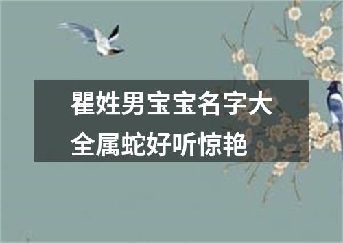 瞿姓男宝宝名字大全属蛇好听惊艳