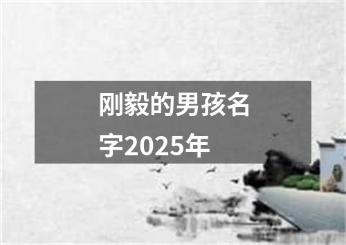 刚毅的男孩名字2025年