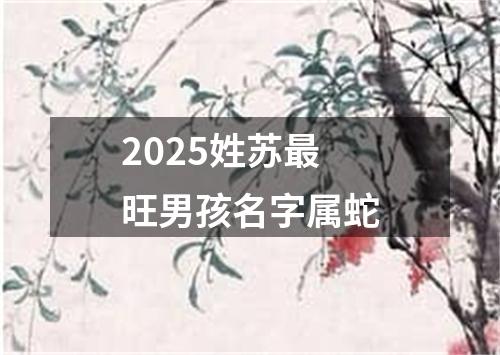 2025姓苏最旺男孩名字属蛇