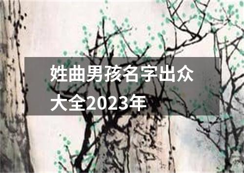 姓曲男孩名字出众大全2023年