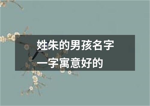 姓朱的男孩名字一字寓意好的