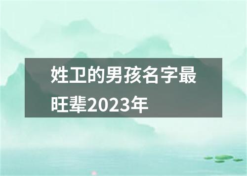 姓卫的男孩名字最旺辈2023年