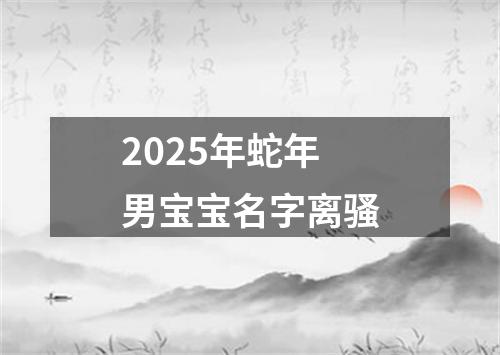 2025年蛇年男宝宝名字离骚