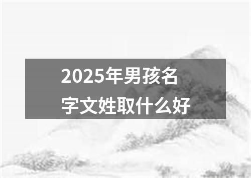 2025年男孩名字文姓取什么好