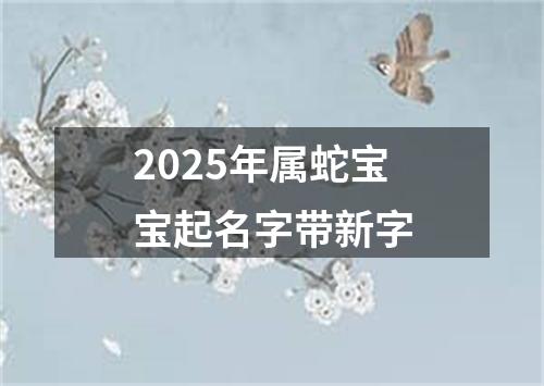 2025年属蛇宝宝起名字带新字
