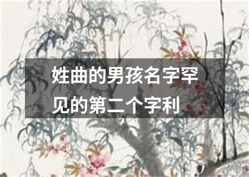 姓曲的男孩名字罕见的第二个字利