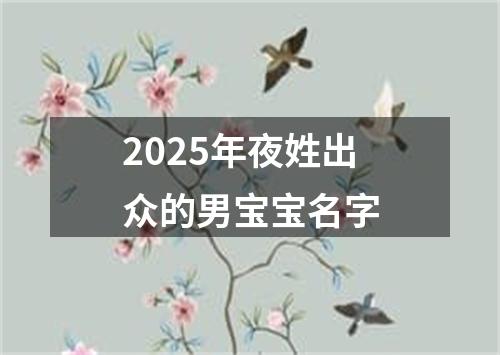 2025年夜姓出众的男宝宝名字