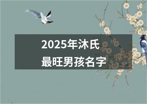 2025年沐氏最旺男孩名字