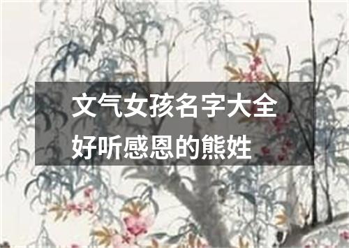 文气女孩名字大全好听感恩的熊姓