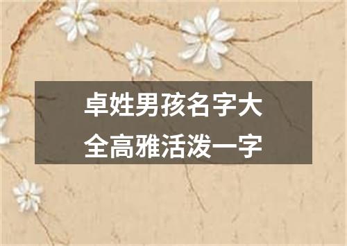 卓姓男孩名字大全高雅活泼一字