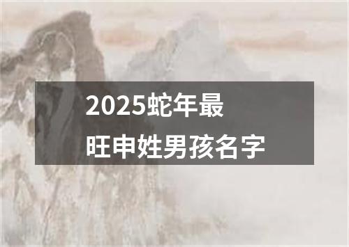2025蛇年最旺申姓男孩名字