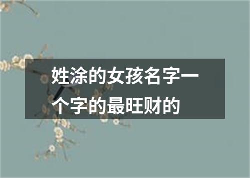 姓涂的女孩名字一个字的最旺财的