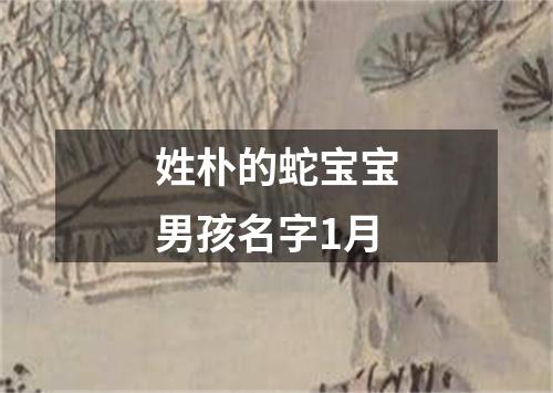 姓朴的蛇宝宝男孩名字1月