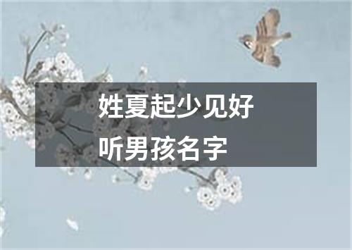 姓夏起少见好听男孩名字