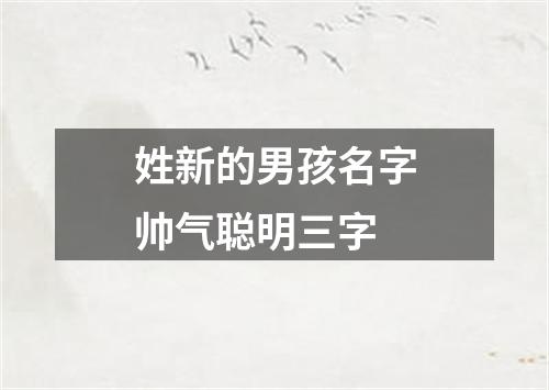 姓新的男孩名字帅气聪明三字
