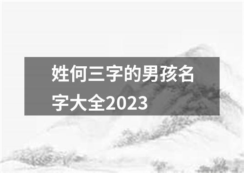 姓何三字的男孩名字大全2023