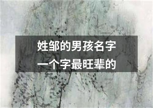 姓邹的男孩名字一个字最旺辈的