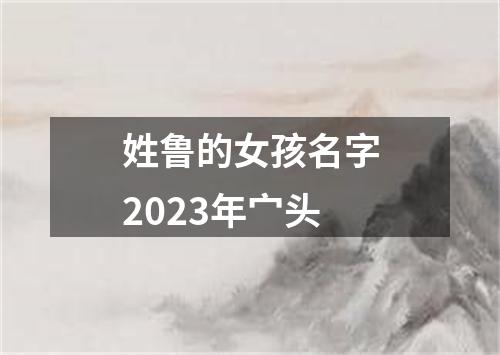 姓鲁的女孩名字2023年宀头