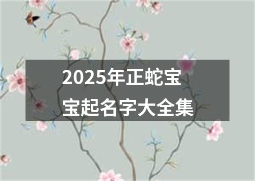 2025年正蛇宝宝起名字大全集