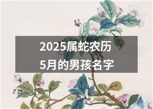 2025属蛇农历5月的男孩名字
