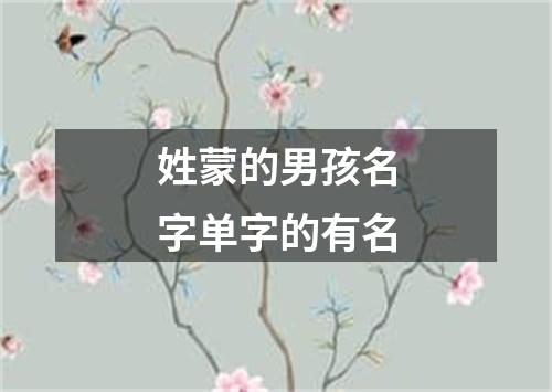 姓蒙的男孩名字单字的有名
