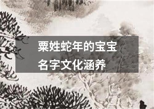 粟姓蛇年的宝宝名字文化涵养