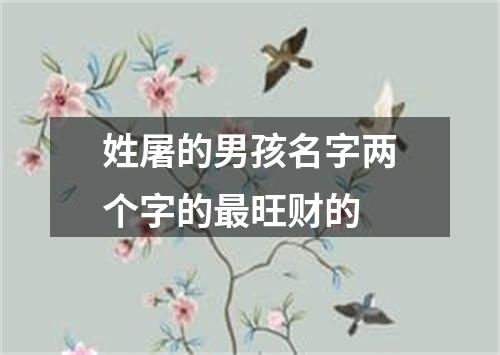 姓屠的男孩名字两个字的最旺财的