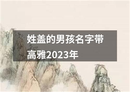 姓盖的男孩名字带高雅2023年