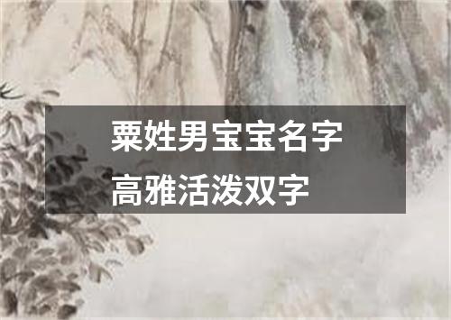 粟姓男宝宝名字高雅活泼双字