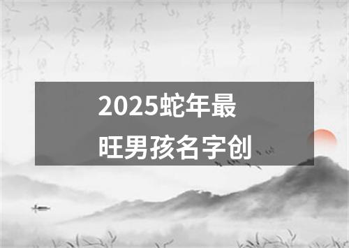2025蛇年最旺男孩名字创