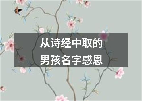 从诗经中取的男孩名字感恩