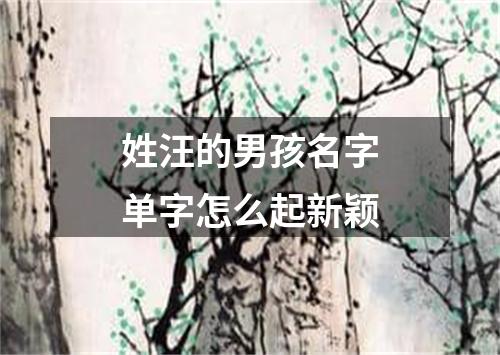 姓汪的男孩名字单字怎么起新颖