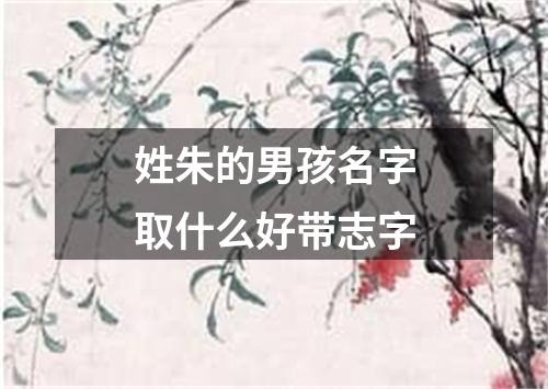 姓朱的男孩名字取什么好带志字