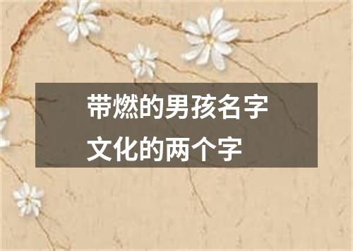 带燃的男孩名字文化的两个字