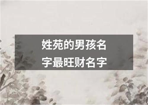 姓苑的男孩名字最旺财名字