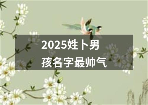 2025姓卜男孩名字最帅气