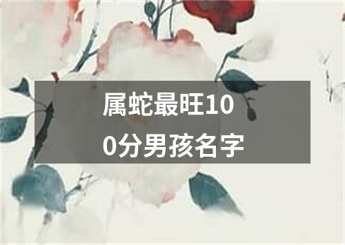 属蛇最旺100分男孩名字