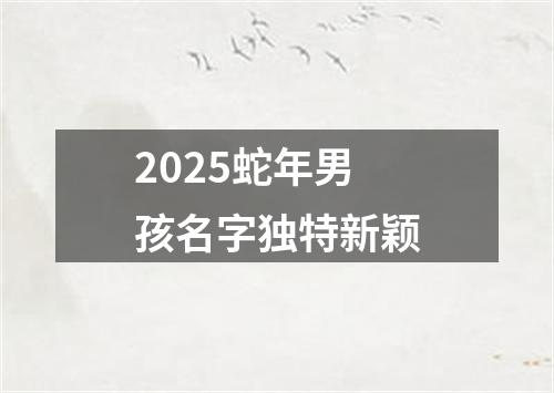 2025蛇年男孩名字独特新颖