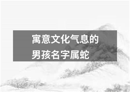 寓意文化气息的男孩名字属蛇