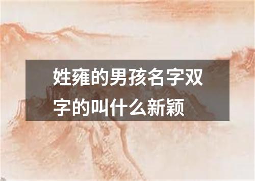 姓雍的男孩名字双字的叫什么新颖