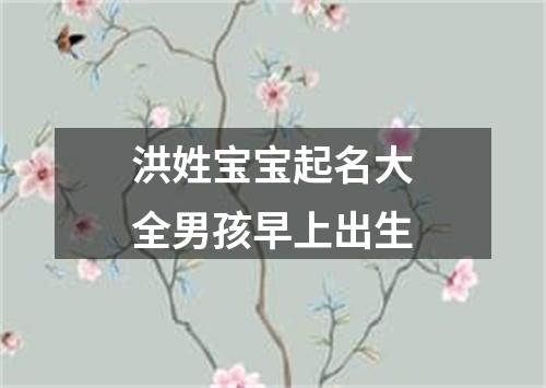 洪姓宝宝起名大全男孩早上出生