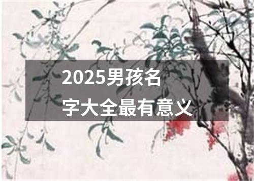 2025男孩名字大全最有意义