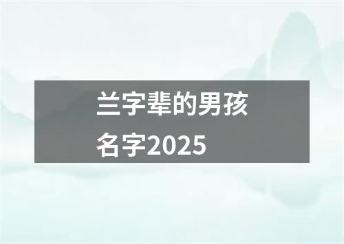 兰字辈的男孩名字2025
