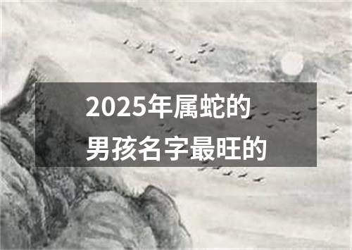 2025年属蛇的男孩名字最旺的
