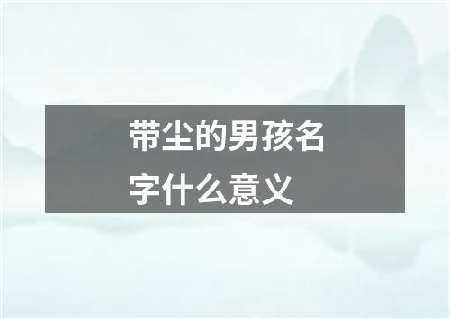 带尘的男孩名字什么意义