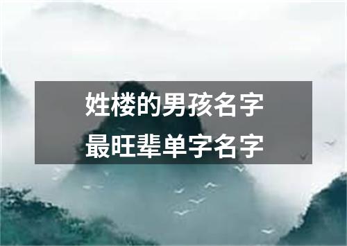 姓楼的男孩名字最旺辈单字名字