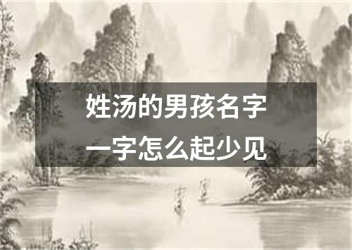 姓汤的男孩名字一字怎么起少见
