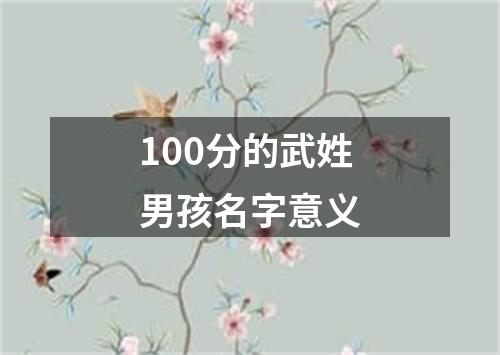100分的武姓男孩名字意义